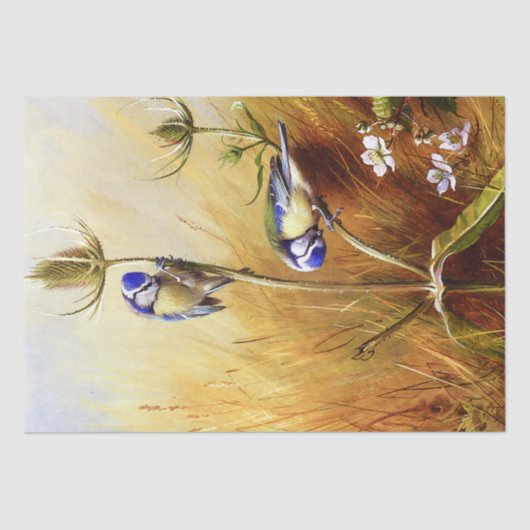 ティーセルの美しいブルーバードヴィンテージの水色 薄葉紙 (正面)