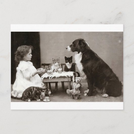 ティータイム ポストカード (正面)