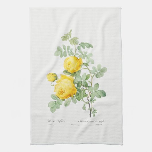 ティータオル:レドゥーテ:イエローローズ キッチンタオル (縦)