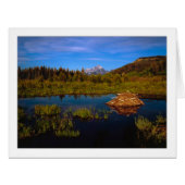 「ティートンサマー」 (正面横)