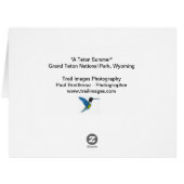 「ティートンサマー」 (裏面横)