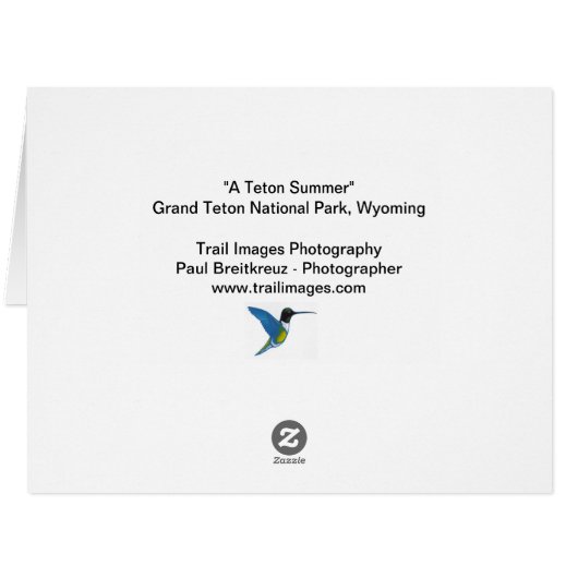 「ティートンサマー」 (裏面横)