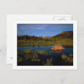 「ティートンサマー」 ポストカード (正面/裏面)