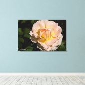 ティーバラ キャンバスプリント (インサイチュ (ウッドフロア))