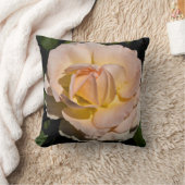 ティーバラ クッション (ブランケット)