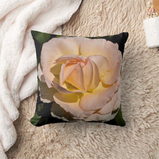 ティーバラ クッション (ブランケット)