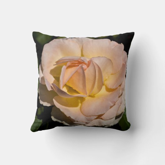 ティーバラ クッション (裏面)