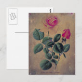 ティーバラ グランジ ポストカード (正面/裏面)