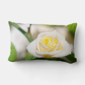 ティーバラ ランバークッション (裏面)