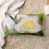 ティーバラ ランバークッション (ブランケット)