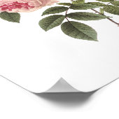 ティーバラ（ローザインディカ）バイレッドテー ポスター (角)