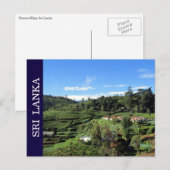 ティーヒルズスリランカ ポストカード (正面/裏面)