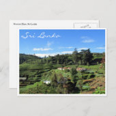 ティーヒルズ ポストカード (正面/裏面)