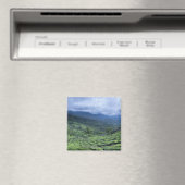 ティープランテーション2ケララ州インド マグネット (インサイチュ (食洗機))