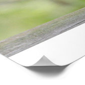 ティーポットに座っているリス ポスター (角)