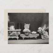 ティーポットのクリーニング ポストカード (正面/裏面)