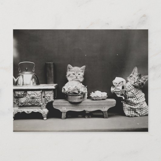 ティーポットのクリーニング ポストカード (正面)