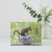 ティーポットのリス ポストカード (スタンド正面)