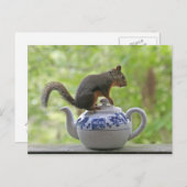ティーポットのリス ポストカード (正面/裏面)