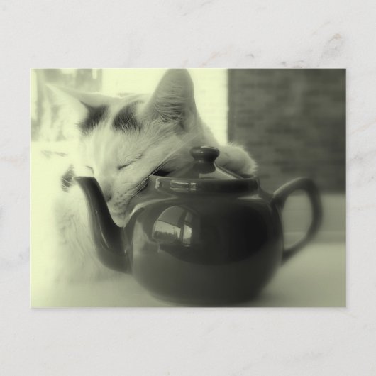 ティーポットの枕 ポストカード (正面)