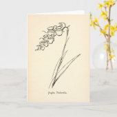 ティーポットフラワーヴィンテージイラストレーションナンセンス植物学 カード (黄色い花)