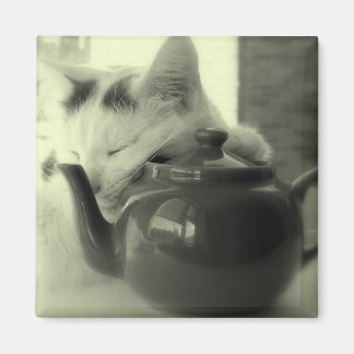 ティーポット枕 マグネット