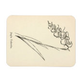 ティーポット花植物ヴィンテージジングリアtintketlia マグネット (横)