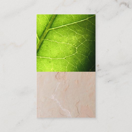 ティーポット | クレーのテクスチャウォールグリーンリーフ 名刺 (裏面)