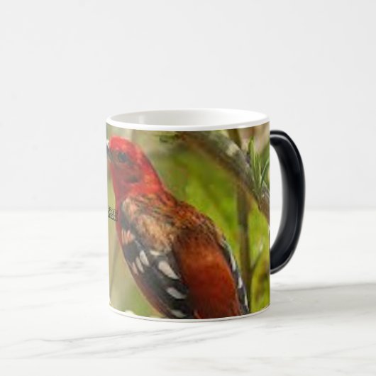 ティーマグカップ – パーソナライズされたマグカップ、名前をカスタムするカップ、コーヒー モーフィングマグカップ (正面右)