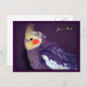 ティールポストカード ポストカード (正面/裏面)