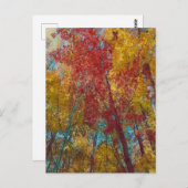 ティール（緑がかった色）と金ゴールドの木 ポストカード (正面/裏面)