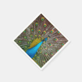 ティール(緑がかった色)と金ゴールド羽毛のリーガルピーコックバード スタンダードカクテルナプキン (角)