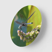 ティール(緑がかった色)によって注目されるトンボ ラウンド壁時計 (傾斜)