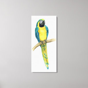 ティール(緑がかった色)のコンゴウインコ キャンバスプリント
