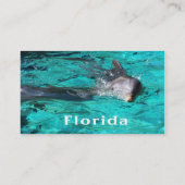ティール(緑がかった色)の澄んな水からflorida.jpgを出ているイルカ 名刺 (裏面)