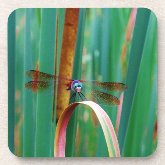 ティール（緑がかった色）の目のトンボにカタチが入る コースター (正面)