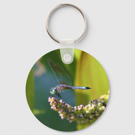 ティール（緑がかった色）アイドトンボ キーホルダー (正面)
