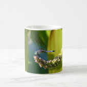 ティール(緑がかった色)アイドトンボ コーヒーマグカップ (中央)