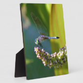 ティール(緑がかった色)アイドトンボ フォトプラーク (側面)