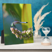 ティール(緑がかった色)アイドトンボ フォトプラーク (側面)