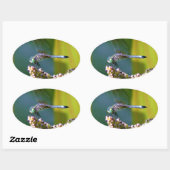 ティール（緑がかった色）アイドトンボ 楕円形シール (シート)