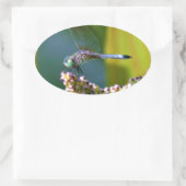 ティール（緑がかった色）アイドトンボ 楕円形シール (バッグ)