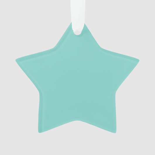 ティール（緑がかった色） オーナメント (正面)