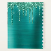 ティール(緑がかった色)ガーリーグリッターブラッシュドメタル2024 プランナー手帳 (裏面)