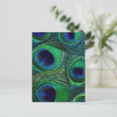 ティール(緑がかった色)グリーンブルーピーコックフェザープリント/パターン ポストカード (スタンド正面)