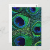 ティール(緑がかった色)グリーンブルーピーコックフェザープリント/パターン ポストカード (正面/裏面)