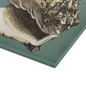 ティール(緑がかった色)コンチシェル カッティングボード (角)