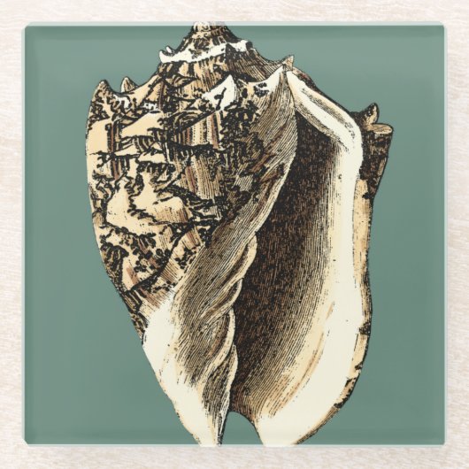 ティール(緑がかった色)コンチシェル ガラスコースター (正面)