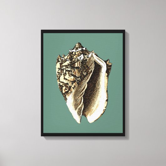 ティール(緑がかった色)コンチシェル キャンバスプリント (正面)
