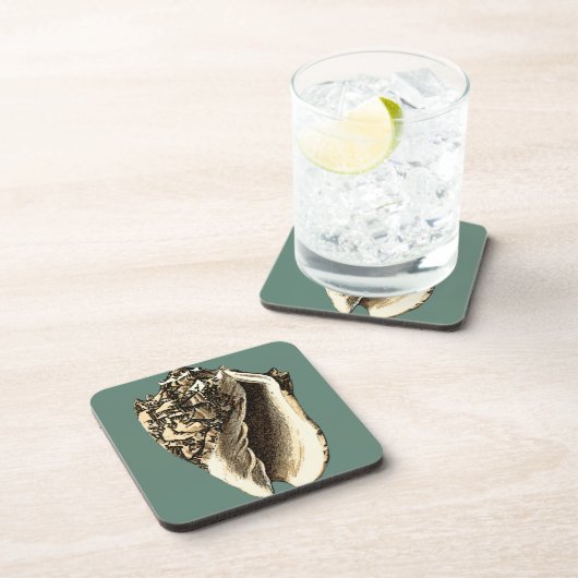 ティール(緑がかった色)コンチシェル コースター (右側)